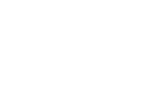 Shotgun